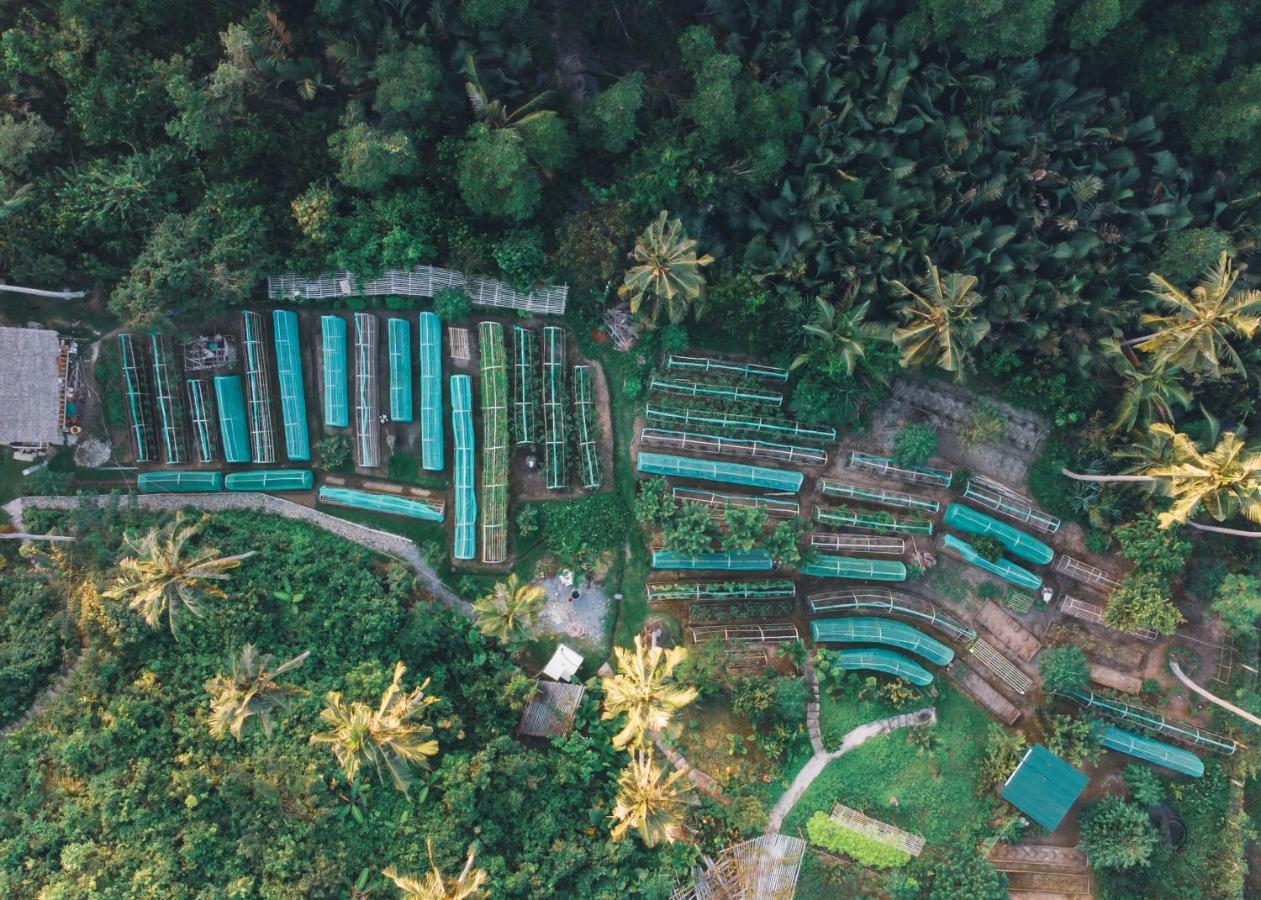 Ocean Eco Hotel